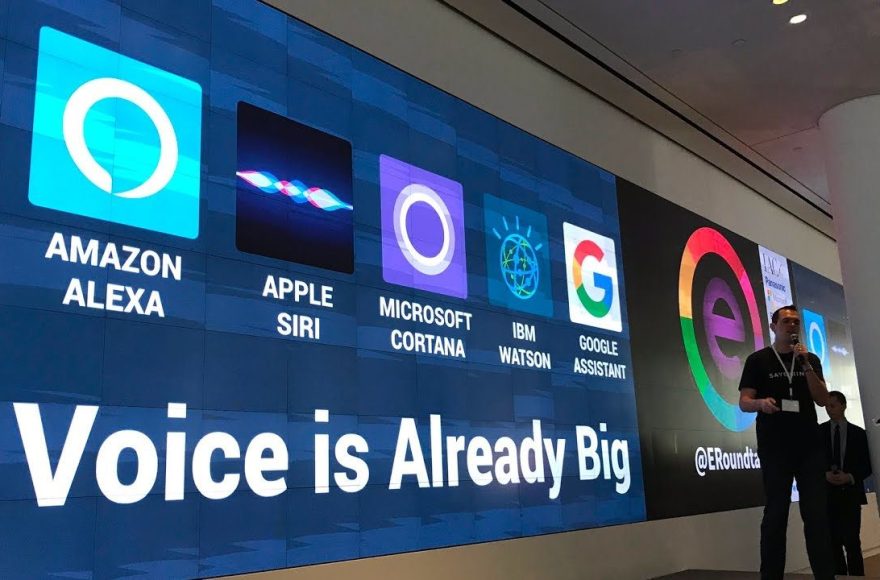 Voice assistance